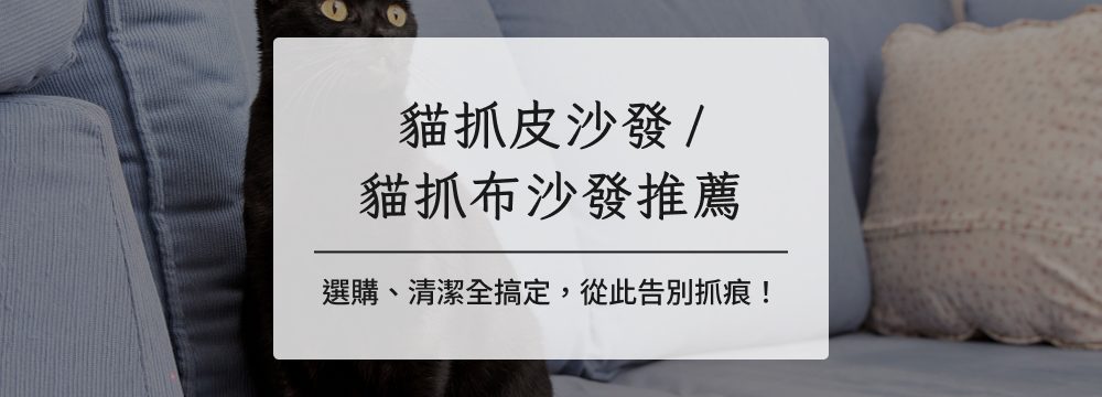 貓抓皮沙發／貓抓布沙發推薦：選購、清潔全搞定，從此告別抓痕！