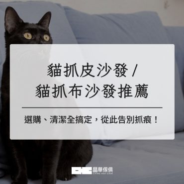 貓抓皮沙發／貓抓布沙發推薦：選購、清潔全搞定，從此告別抓痕！