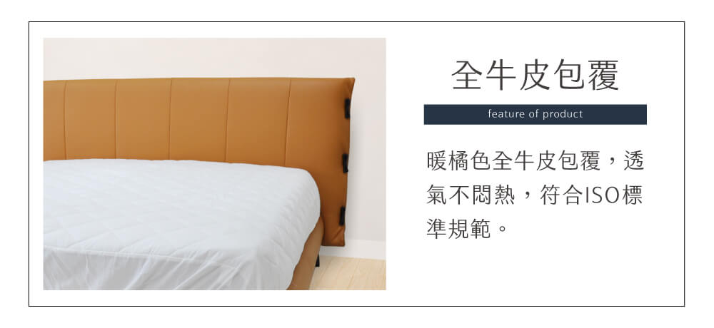 莫俚森MOLISEN|DS418 全牛床台(5尺)
